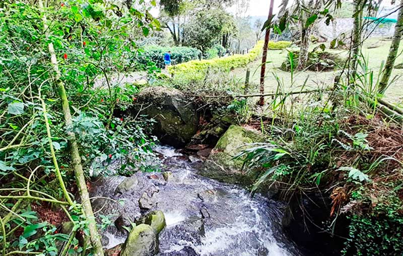 Quebrada-Namay-bajo Quebrada Namay bajo