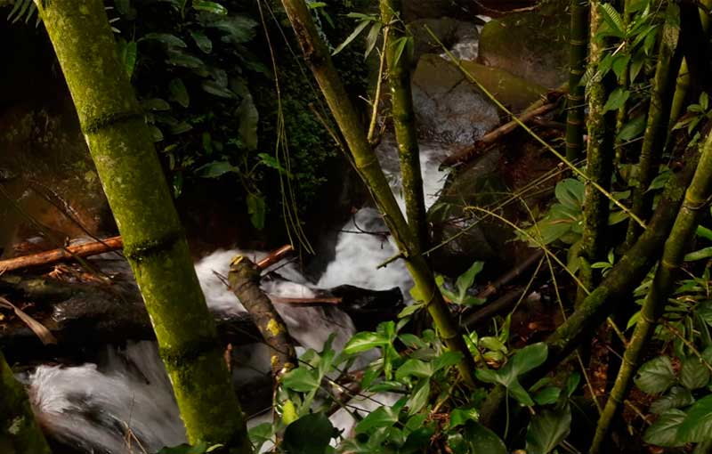Riachuelo-El-encuerdado-Namay Riachuelo Vereda Namay