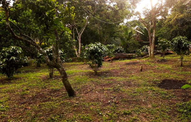 Zona-Camping-El-Encuerdado Zona Camping